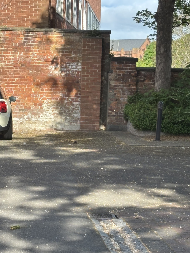 Parking on Abbey Foregate, SY2