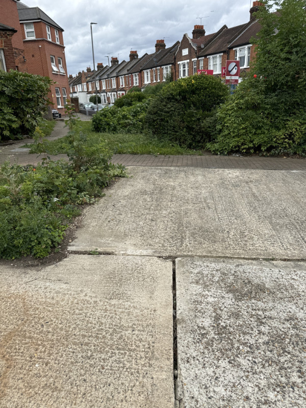 Parking on Cavendish Road, SW12