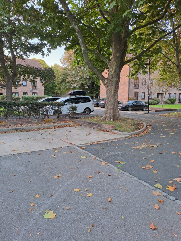 Parking on Anstice Close, W4