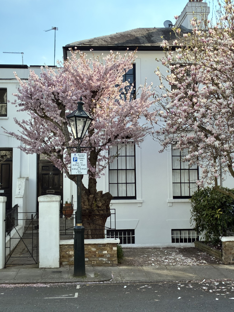 Parking on Canning Place, W8