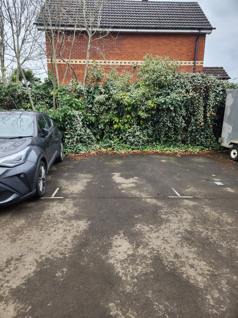 Parking on Whitsand Road, M22