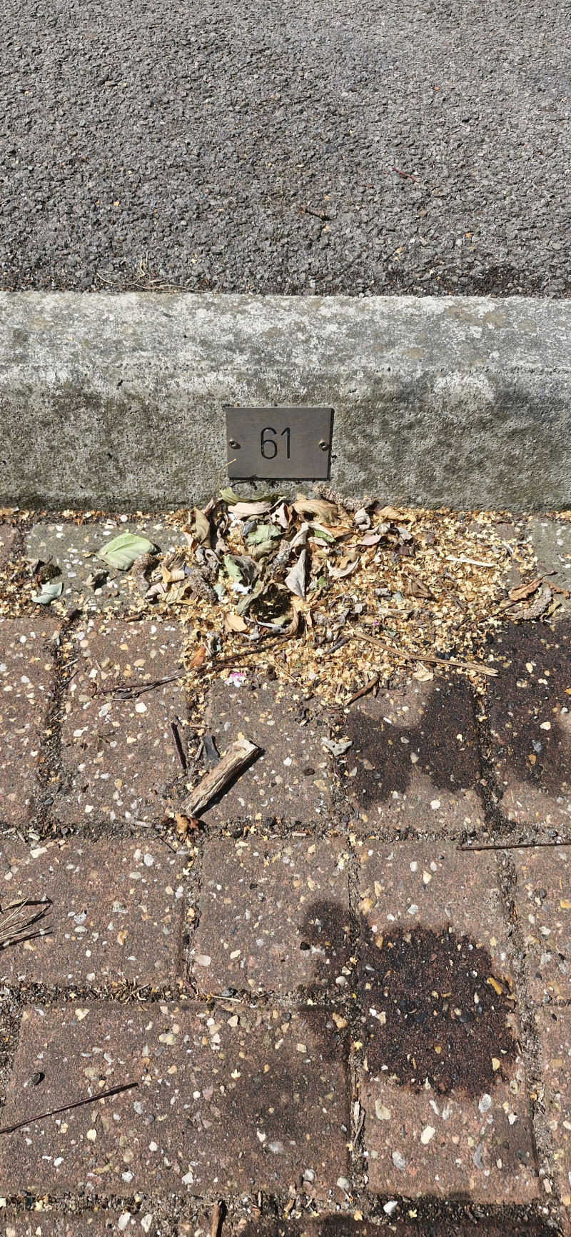 Listing