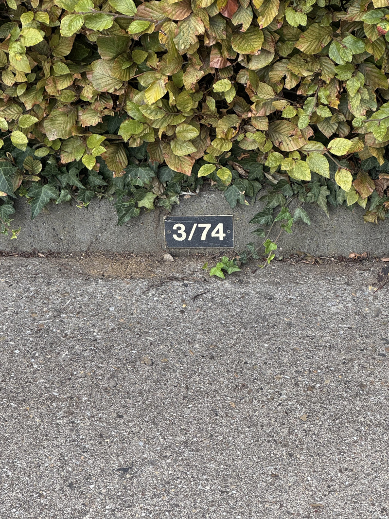 Listing