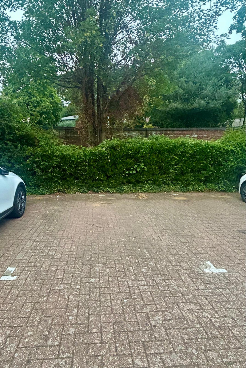 Parking on Scott Road, NR1