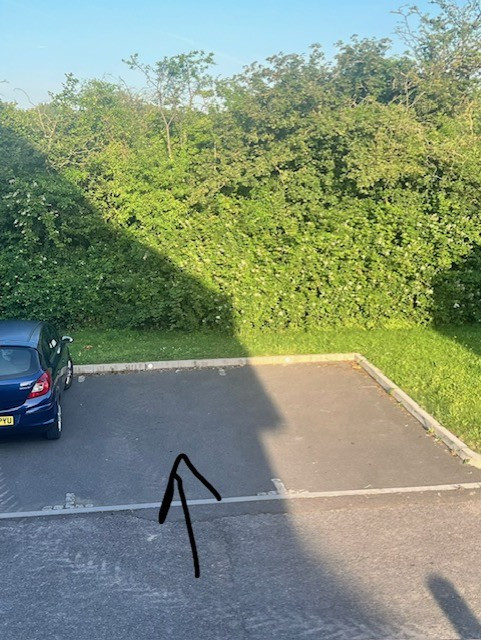 Parking on Peacock Way, BA2