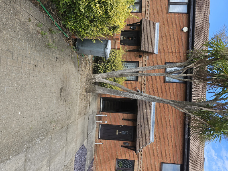 Parking on Grebe Close, E7