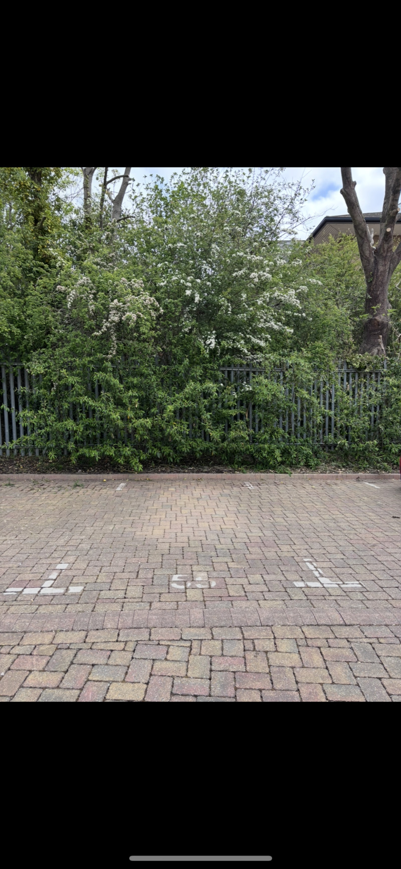 Parking on Hardy Close, CM1