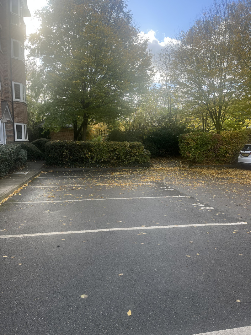 Parking on Victory Road, E11