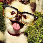 Rebecca R's profile photo