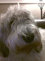 Kelly P's profile photo