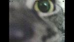 Abi C's profile photo