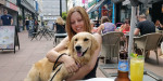 Maral M's profile photo