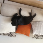 Kpbanyard K's profile photo