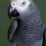 Nicola K's profile photo
