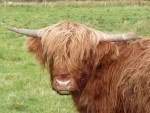 Wilmakim K's profile photo